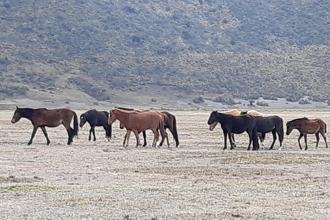 2 volcanoes Cotopaxi and Quilotoa in 1 Day - Frequently Asked Questions