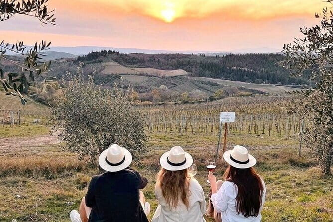 2 wineries Chianti Wine Tasting & Vineyards Walk Private Tour - An In-Depth Look at the Chianti Wineries Tour