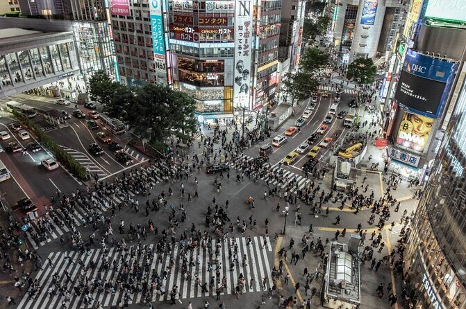 2025-2026 Shuttle-van Tokyo Tour Tokyo, Yokohama, Hakone, Narita - Key Points