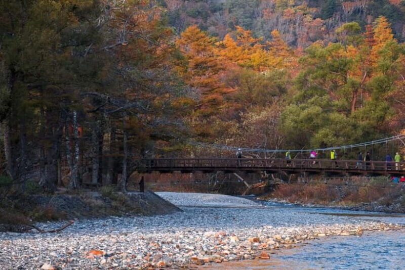 2025 Autumn Highlights from Takayama: Kamikochi, Shirakawago - Introduction: Why Choose This Autumn Tour?