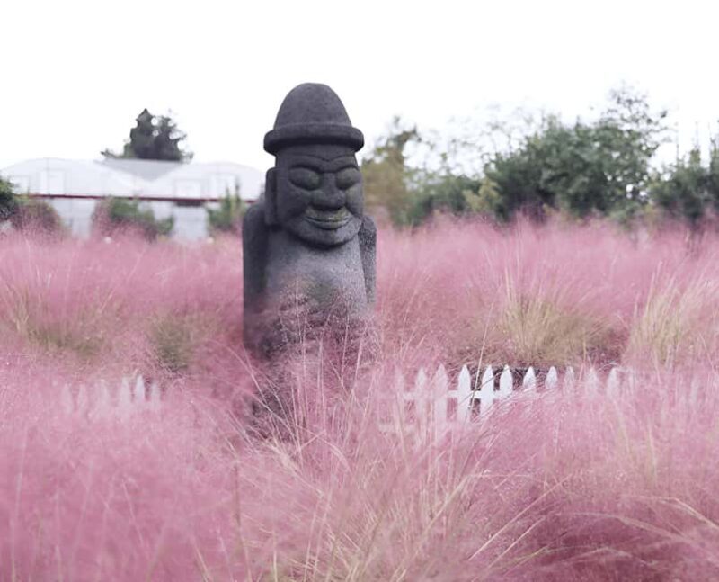 2025 Jeju Autumn Tour with Pink Muhly Festival Hotel pickup - An In-Depth Look at Jeju’s Autumn Tour: What You Can Expect