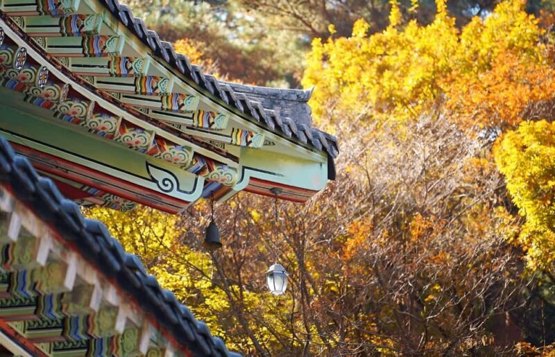 2025 Jeju Autumn Tour with Pink Muhly Festival Hotel pickup - Why This Tour Works