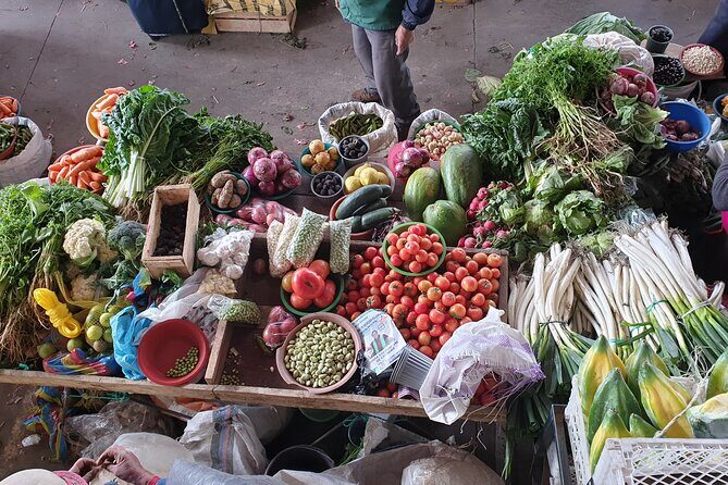 21 day Ecuador tour in Andean jungle and cloud forest - FAQ