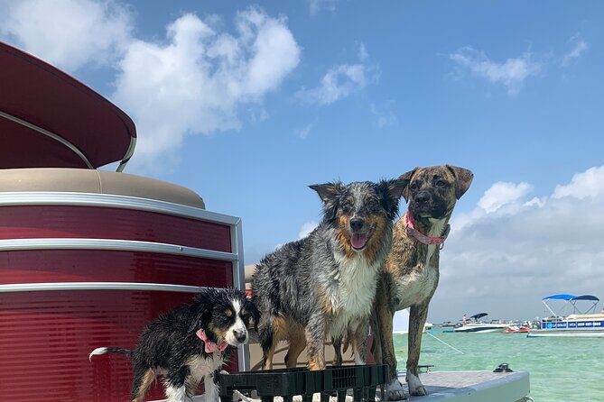 24ft (12 Passenger) Pontoon Boat Rental in Destin/Crab Island - Experience the Freedom of a 24ft Pontoon Boat Rental in Destin