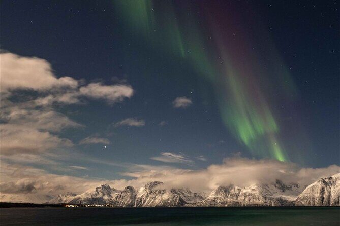 24hr Northern Lights & Whale Watching Cruise - An In-Depth Look at the Adventure