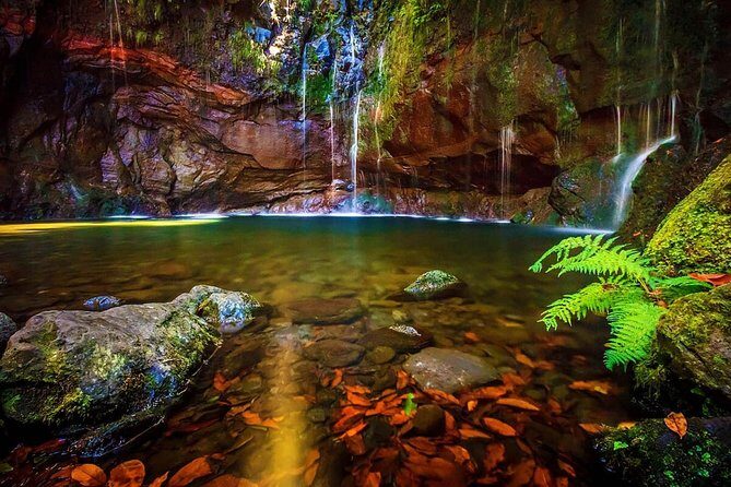"25 Fountains" Walk / Lost In The Beautiful Forest - Discover the Magic of Madeira’s 25 Fountains and Forests