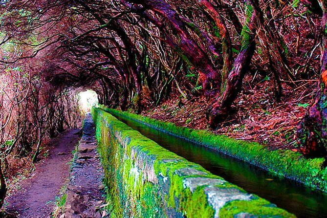 "25 Fountains" Walk / Lost In The Beautiful Forest - The Sum Up: Is This Tour Worth It?