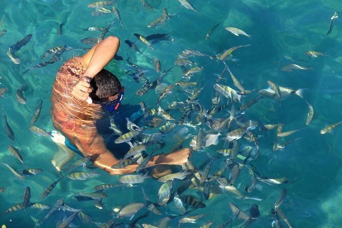 25 - Full Day Tour to Angra dos Reis and Ilha Grande - A Deep Dive into the Experience