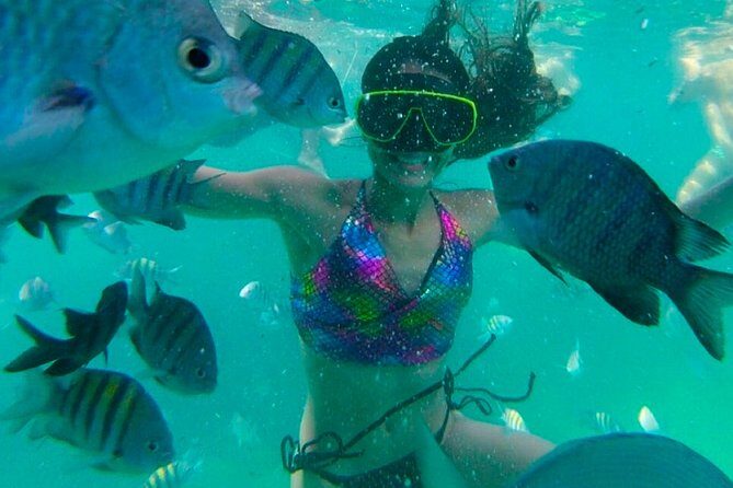 25 - Full Day Tour to Angra dos Reis and Ilha Grande - FAQ: Your Practical Questions Answered