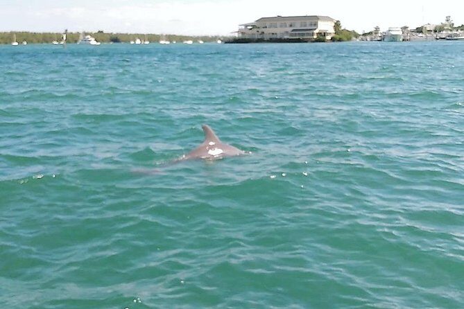 26 Ft Boat, Miami Bay Tour for 2 or 4 hours. 10 people - The Practical Side: What to Expect