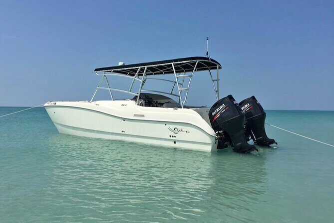 27ft Miami Catamaran for Groups and Parties - Who Will Love This Tour?