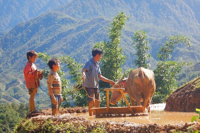 2D1N Buffalo trek by Hmong Sister House and Trekking - The Sum Up
