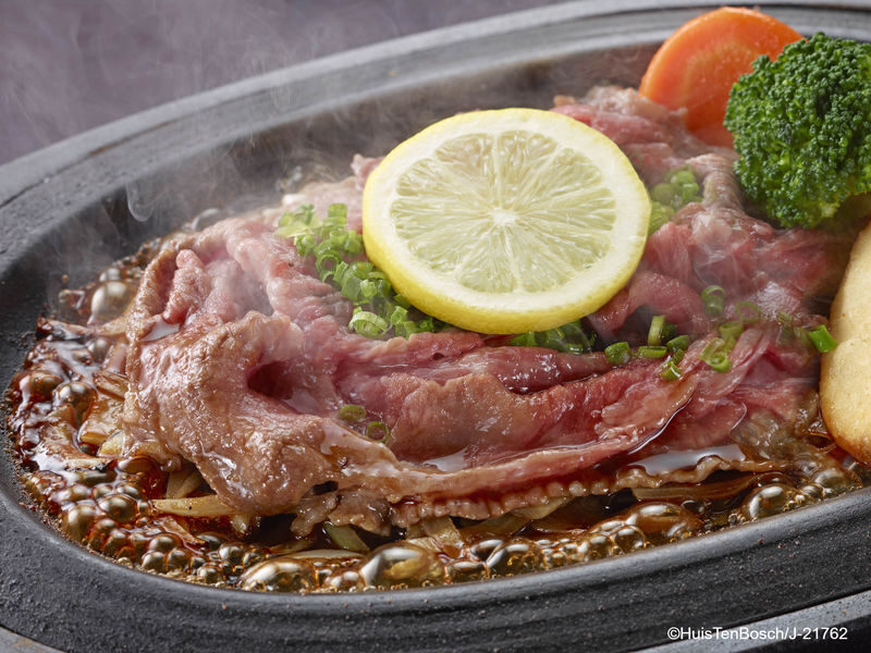 2D1N Fukuoka to Huis Ten Bosch: Hotel, Ticket & Bus Transport Package - Who should book this Fukuoka to Huis Ten Bosch package?