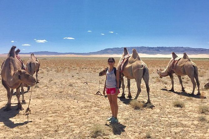 2D,1N Gobi desert and Old city Kharkhorum stay with Nomadic family - Key Points