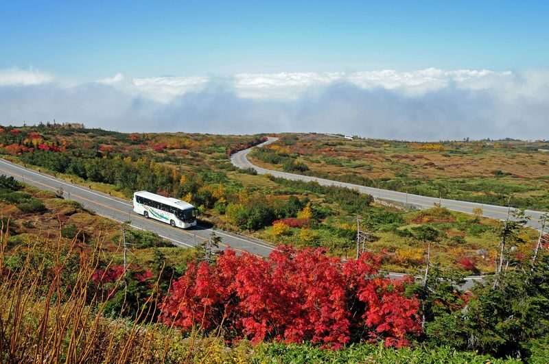 2D1N Tateyama Kurobe Alpine Route & Kamikochi Trip from Nagoya - Crossing the Tateyama Kurobe Alpine Route