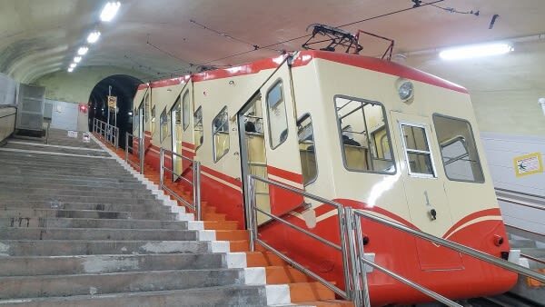 2D1N Tateyama Kurobe Alpine Route & Kamikochi Trip from Nagoya - Is the two-day trip worth the fare?