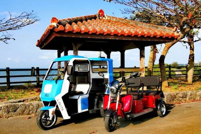 2h 3-seater electric trike rental (Ishigaki, Okinawa) - Key Points