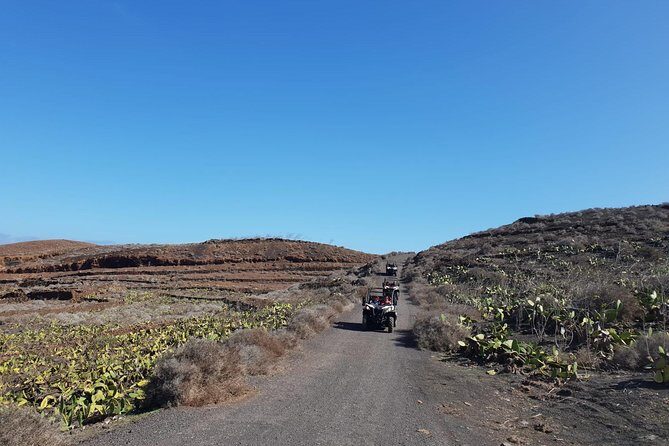 2h Buggy Tour guided by the north of Lanzarote - Why This Tour Offers Real Value