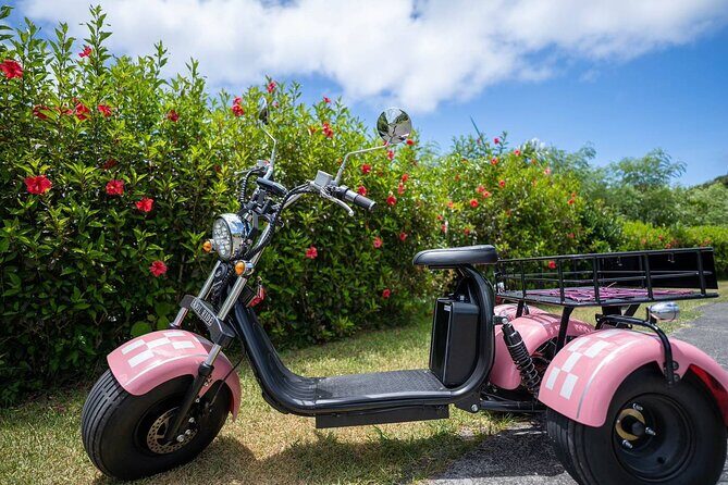 2h Electric Trike Rental in Okinawa Ishigaki - Discover Ishigaki with a 2-Hour Electric Trike Rental