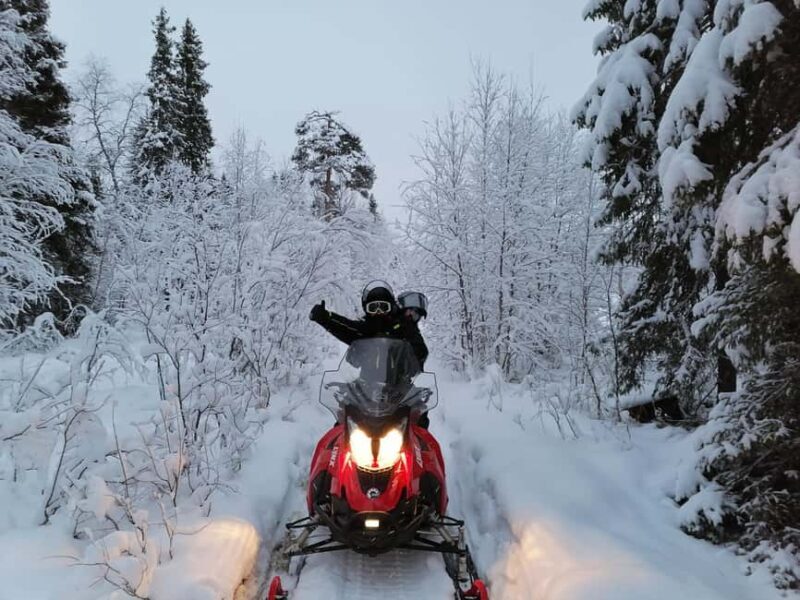2h private snowmobile experience in Rovaniemi's forest - The Authenticity of the Arctic Experience
