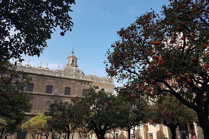 2h30 Private Walking Tour of Seville with Local Guide - A Deep Dive into the Tour Experience
