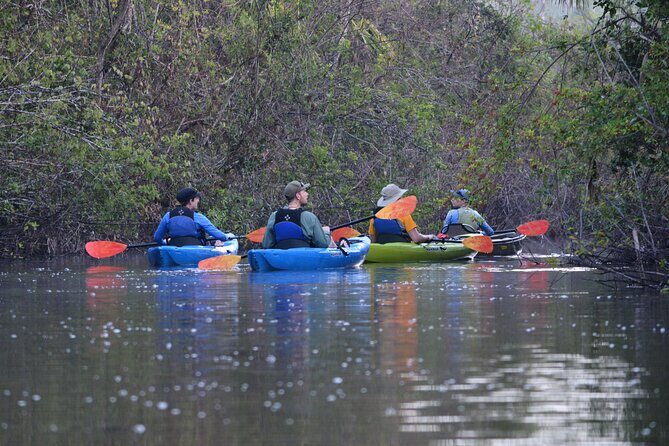 2Hour Everglades Kayak Safari Adventure Through Mangrove Tunnels - Key Points
