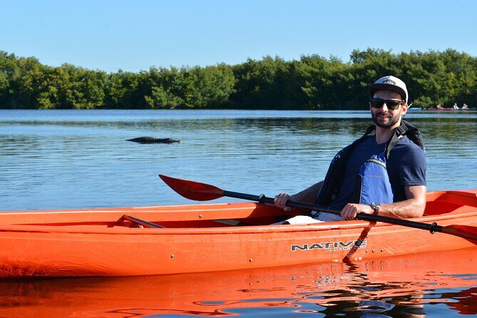 2Hour Everglades Kayak Safari Adventure Through Mangrove Tunnels - Why This Tour Offers Excellent Value