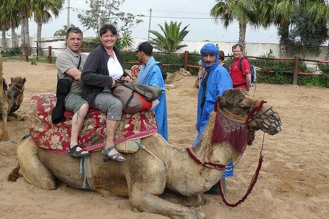 2Hours DE Quad + Comedy EN Tour and Crocoparc Tour - Who Will Appreciate This Tour?