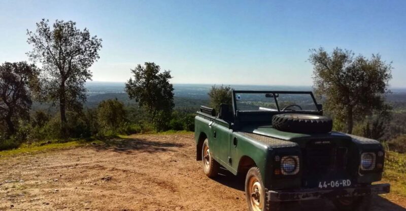 2hr Cork Safari in a Classical Land Rover - A Closer Look at the Cork Safari Experience