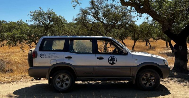 2hr Cork Tour in a Jeep - A Practical Guide to the 2-Hour Cork Forest Jeep Tour in Portugal