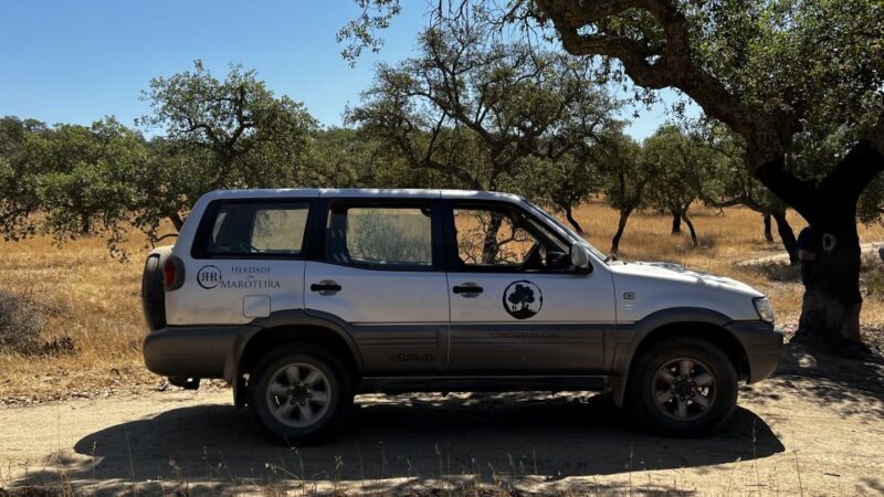 2hr Cork Tour in a Jeep - Who Is This Tour Best For?