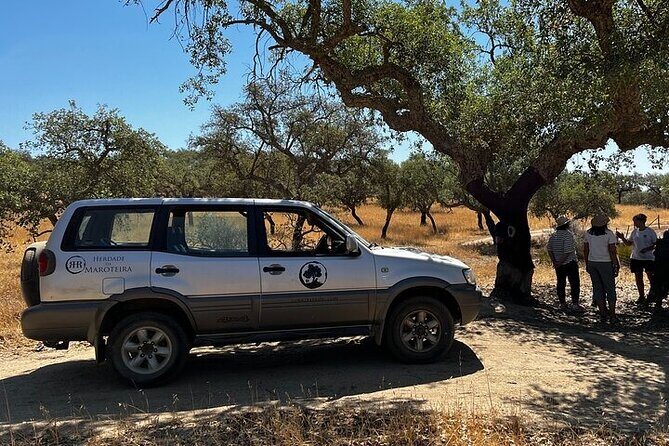 2hr Cork Tour in a Jeep - A Genuine Look at Portugal’s Cork Forests: 2-Hour Jeep Tour in Evora District
