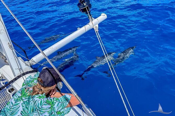 2hr Luxury Private Sailing Catamaran for 7-12 People - Key Points