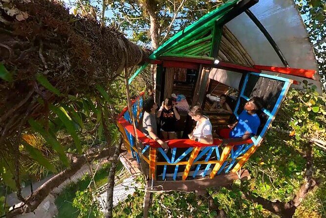 2in1: Los Haitises National Park + Yanigua Waterfall-SPA - The Experience in Detail