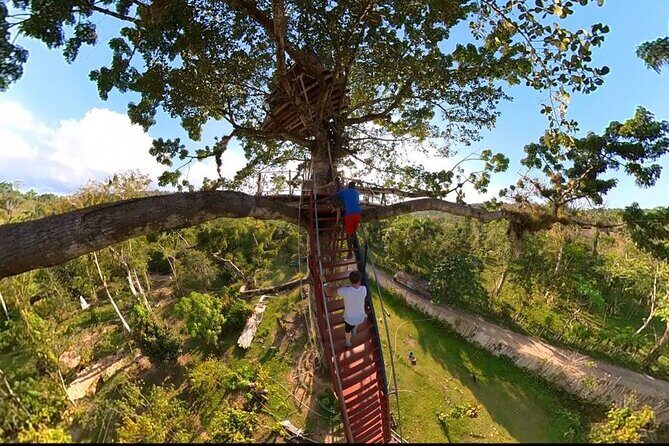 2in1: Los Haitises National Park + Yanigua Waterfall-SPA - FAQ