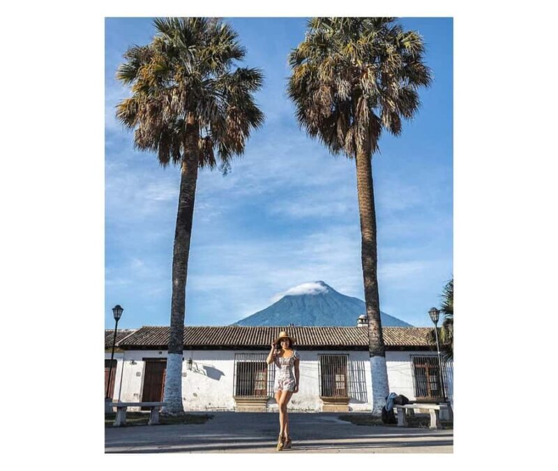 2in1 Tour: Avocado Farm + Private Tour in Antigua Guatemala - Transition to Nature: The Avocado Farm Adventure