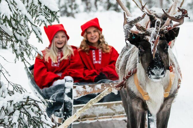 2km Sleigh Ride & Feeding Experience at Traditional Reindeer Farm - Exploring the Reindeer Farm Experience in Rovaniemi