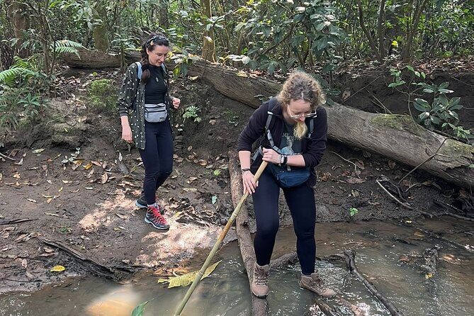 2Night 3Day Chitwan Jungle Tower Night Stay and CNP Nepal Safari - Frequently Asked Questions