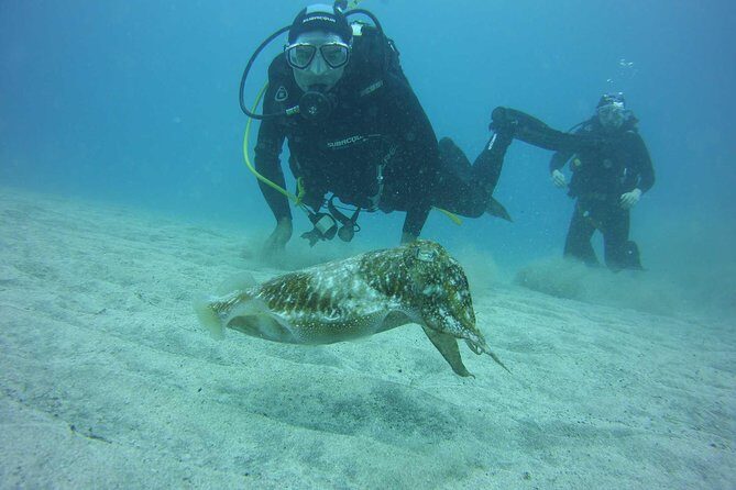 2x diving package, on request including refreshment - Key Points