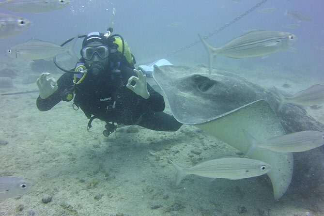 2x diving package, on request including refreshment - Frequently Asked Questions