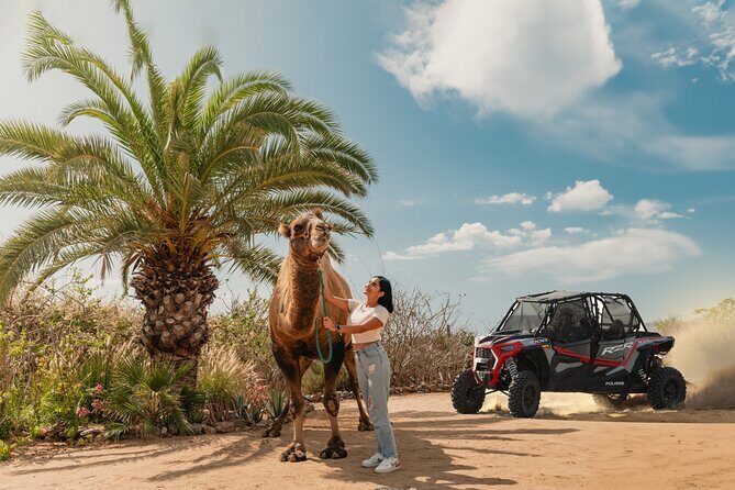 2x1 Combo UTV Side by Side Experience and Camel Ride in Los Cabos - An Exciting Blend of Adventure and Culture in Los Cabos