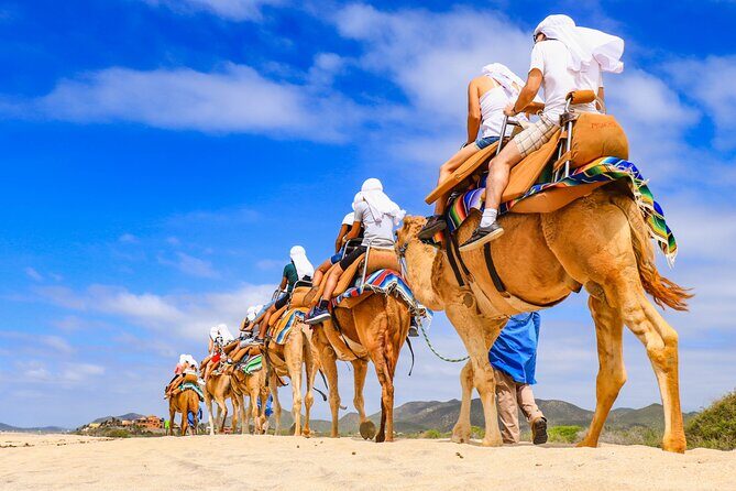 2x1 Combo UTV Side by Side Experience and Camel Ride in Los Cabos - The Sum Up: Who Is This Tour Best For?