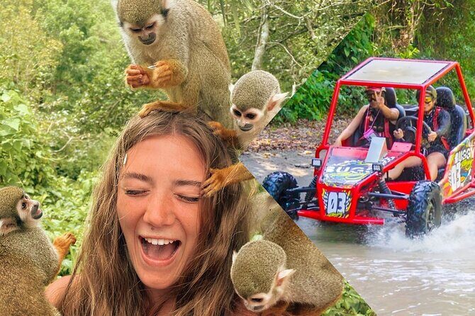 2x1: Monkeys Land Plus Drive a Dune Buggy in Puerto Plata - Key Points