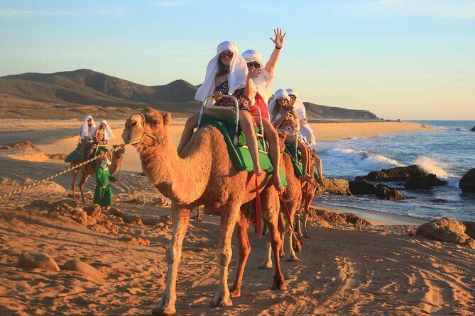 2x1 Tour: Cabo San Lucas Arch + Camels Ride + Pick up! - Frequently Asked Questions