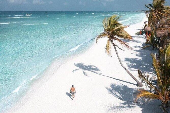 2x1 Tour: Isla Contoy, Isla Mujeres, Open Bar, Lunch and Transfers - The Full Experience: A Deep Dive into What You Can Expect