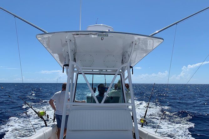3/4 day deep sea /light tackle fishing - A Deep Dive into Nassau Fishing: What to Expect on This 3/4 Day Light Tackle Adventure