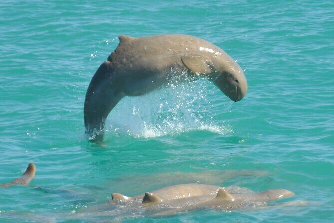 3.5 Hour Broome Sunset Cruise - Broome Sunset Cruise: A Relaxing Water Adventure with a Touch of Magic