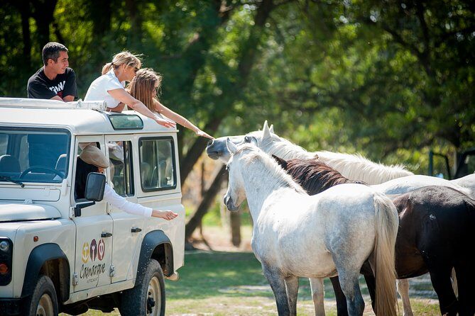 3.5 Hour Camargue 4x4 Safari from Le Grau-du Roi - What Could Be Improved?