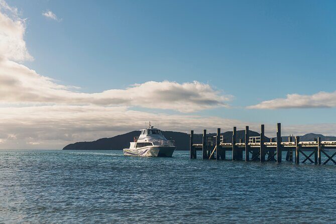 3.5 Hour Marlborough Sounds Delivery Cruise - Discovering Marlborough Sounds: The 3.5 Hour Delivery Cruise