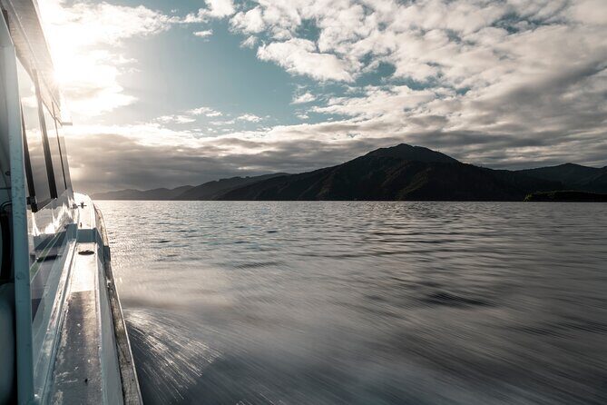 3.5 Hour Marlborough Sounds Delivery Cruise - Key Points